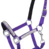 Adjustable Nylon Miniature Halter With Crystal Accents - Purple