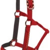 Mustang Bronze Halter And Lead - Red