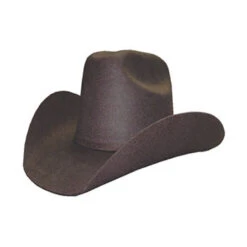 Brown Felt Maverick Kid's Hat