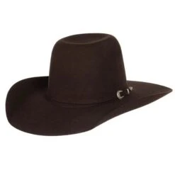 Resistol Pay Window JR Kid's Brown Felt Cowboy Hat